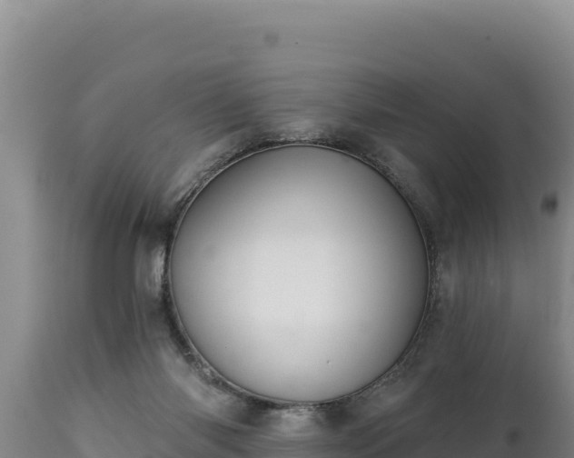 X0000112820118200908281540