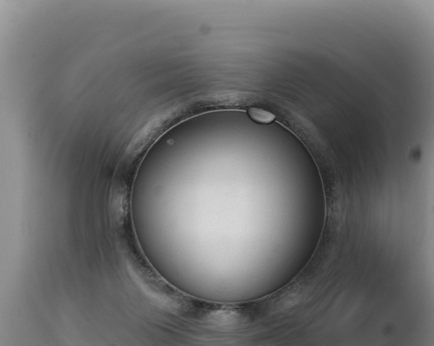 X0000112820119200908281540