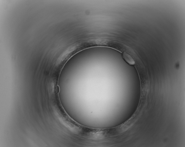 X0000112820120200908281540