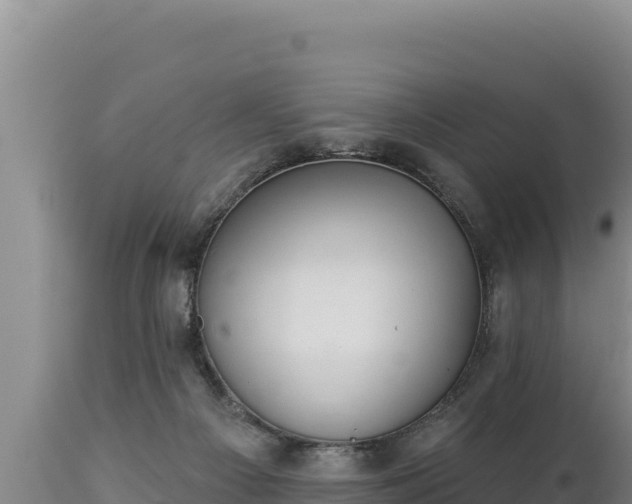 X0000112820121200908281540