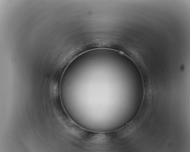 X0000112820123200908281540