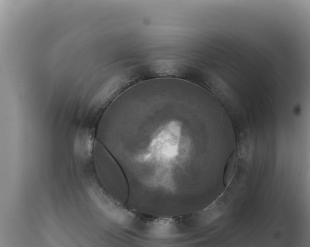 X0000112820124200908281540