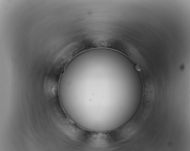 X0000112820125200908281540