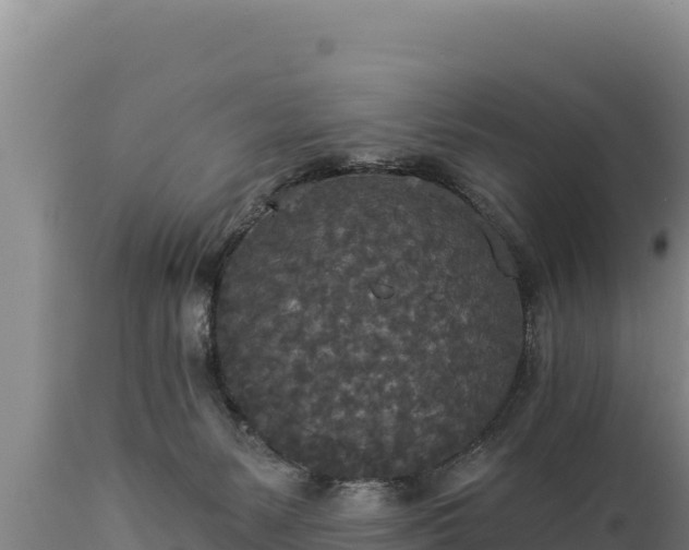 X0000112820127200908281540