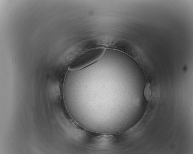 X0000112820128200908281540