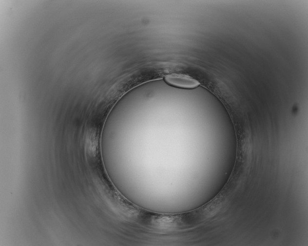 X0000112820129200908281540