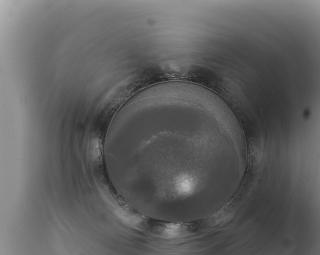 X0000112820130200908281540