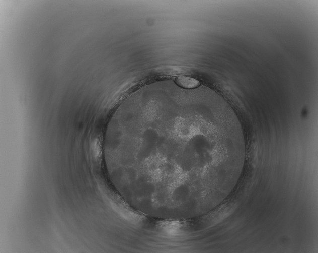 X0000112820131200908281540