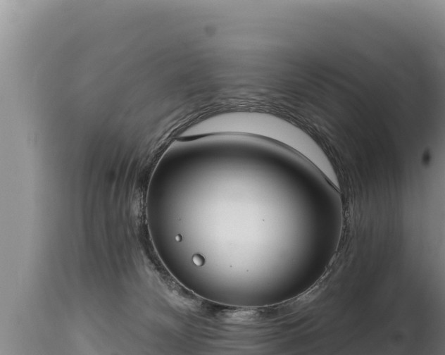 X0000112820132200908281540