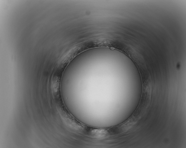 X0000112820133200908281540