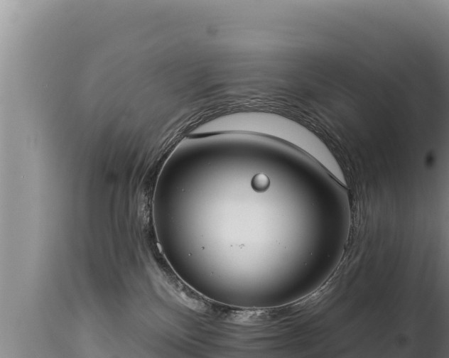 X0000112820136200908281540