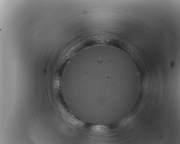 X0000112820137200908281539