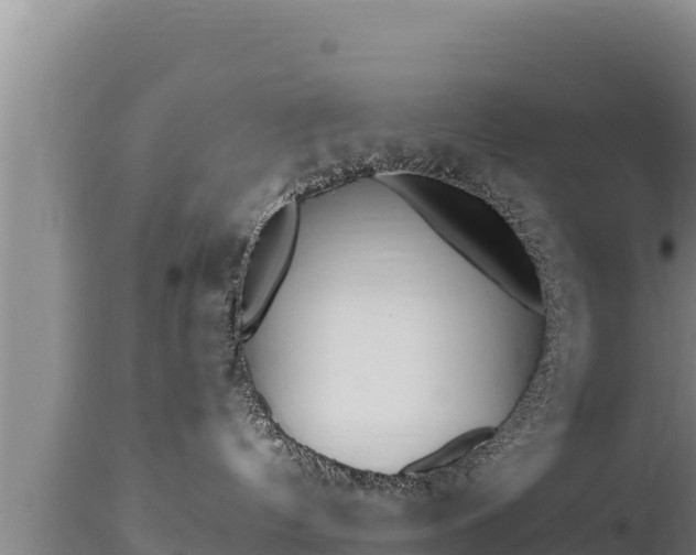 X0000112820144200908281539