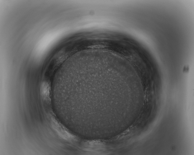 X0000112820146200908281539