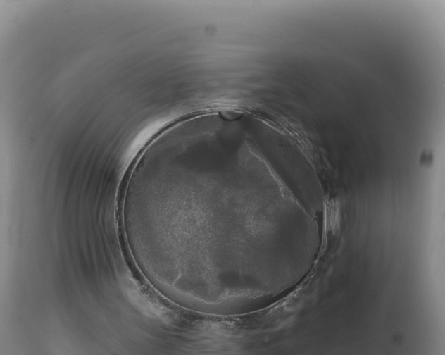 X0000112820147200908281539