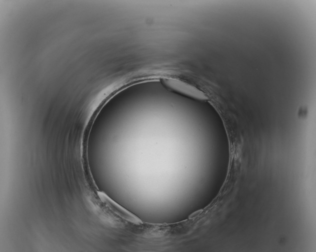 X0000112820148200908281539