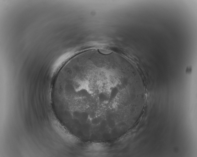 X0000112820149200908281539