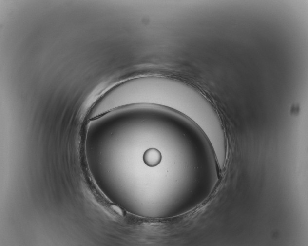 X0000112820150200908281539