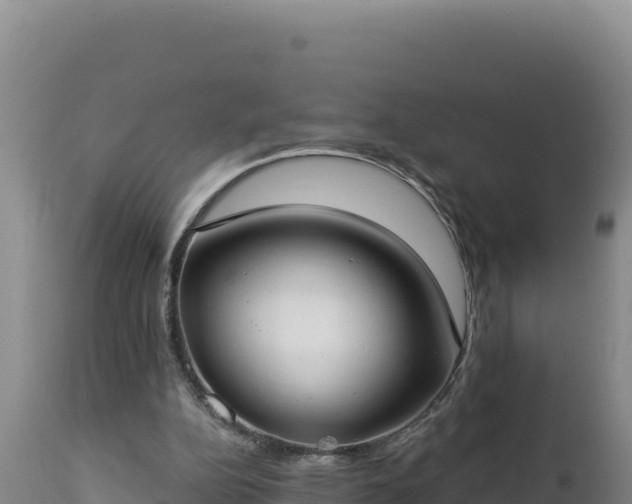 X0000112820152200908281539