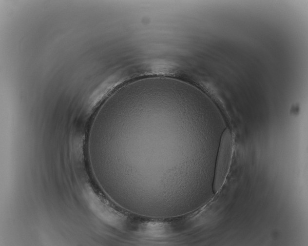 X0000112820154200908281539