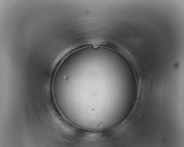 X0000112820155200908281539