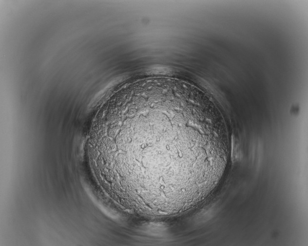 X0000112820157200908281539