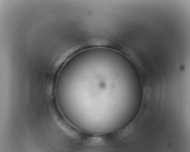 X0000112820159200908281539