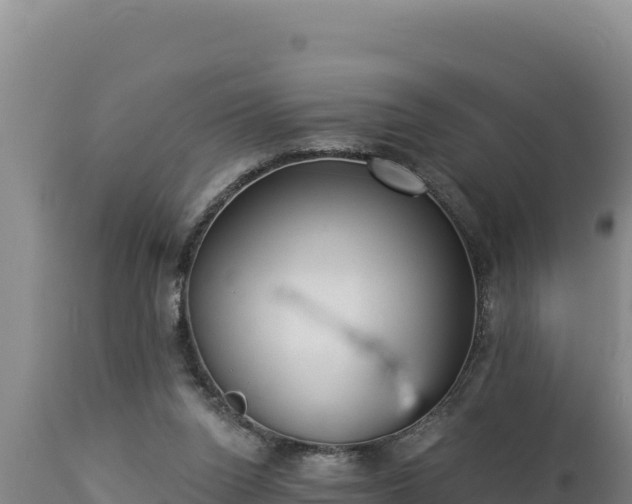 X0000112820160200908281539