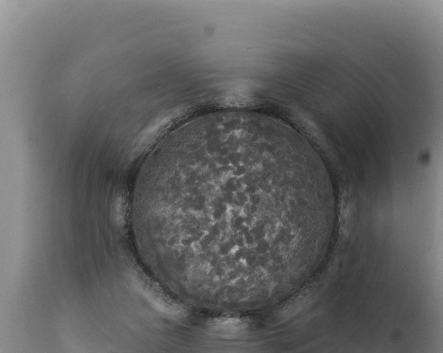 X0000112820161200908281539