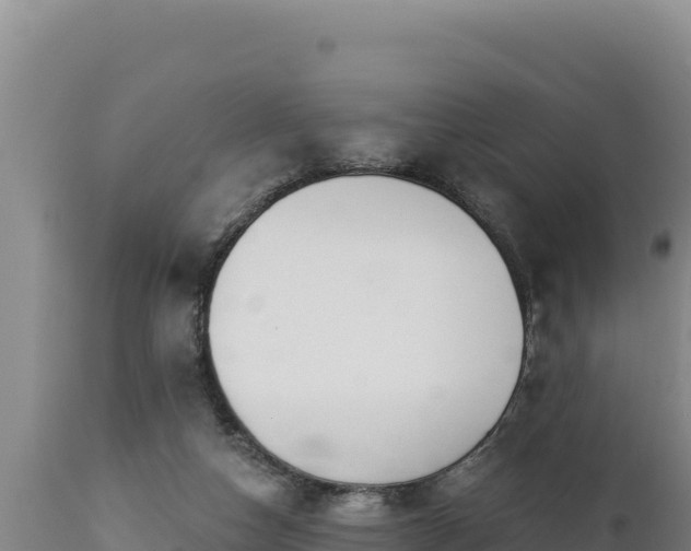 X0000112820162200908281539