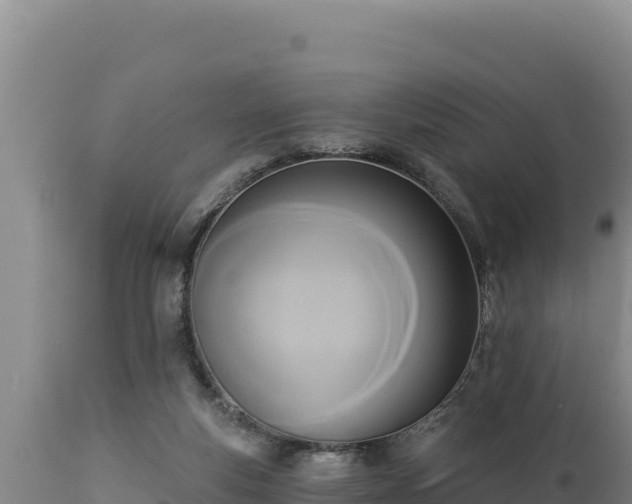 X0000112820163200908281539