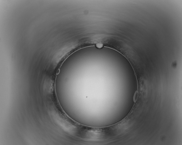 X0000112820164200908281539