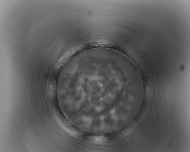 X0000112820165200908281539