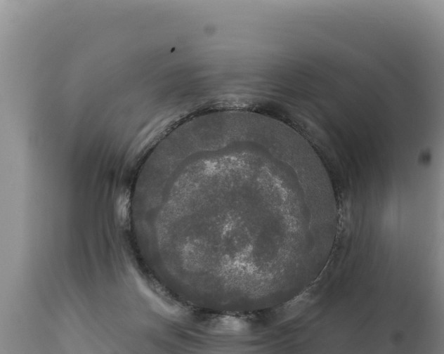 X0000112820166200908281539