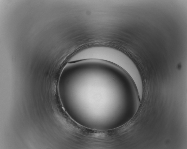 X0000112820168200908281539