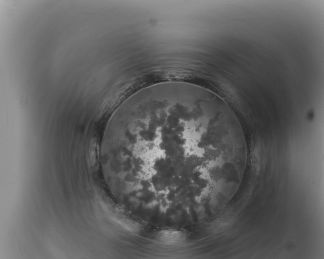 X0000112820169200908281539