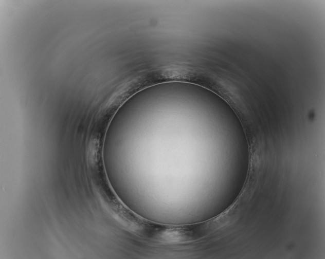 X0000112820171200908281539