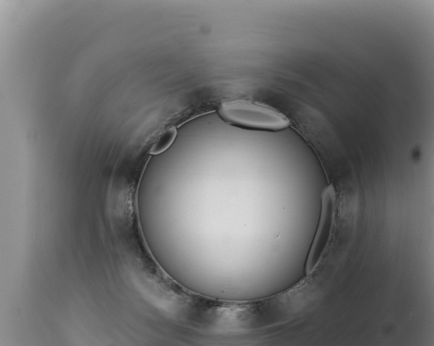 X0000112820172200908281539