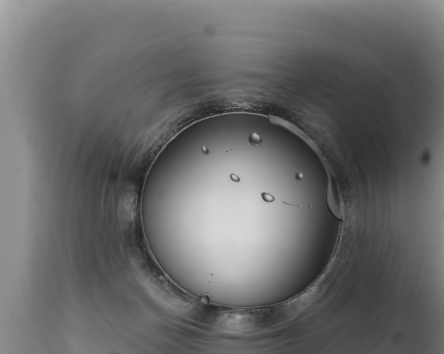 X0000112820174200908281539