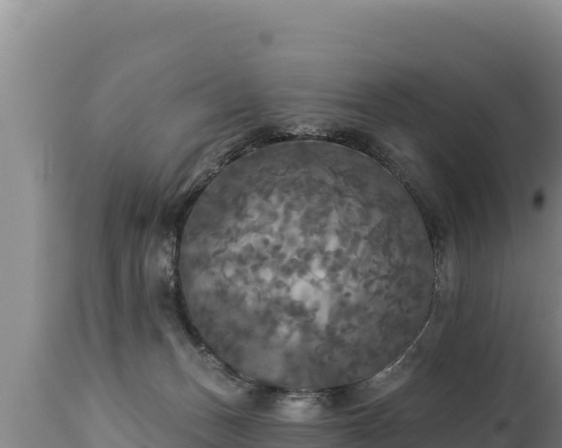 X0000112820175200908281539