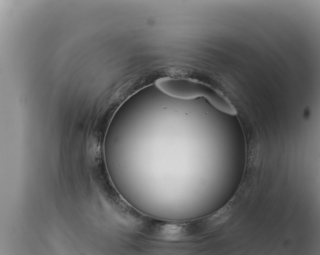 X0000112820176200908281539