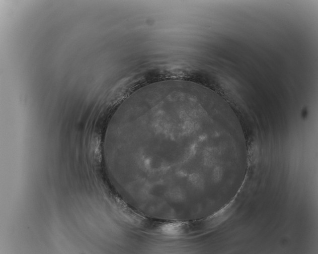 X0000112820178200908281539