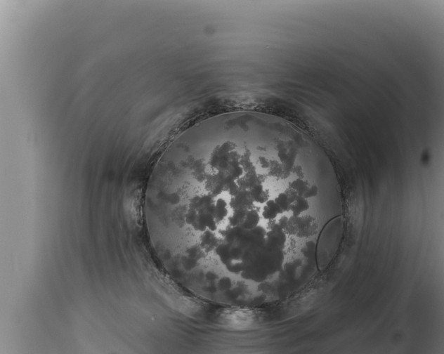 X0000112820181200908281539