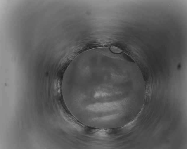 X0000112820182200908281539