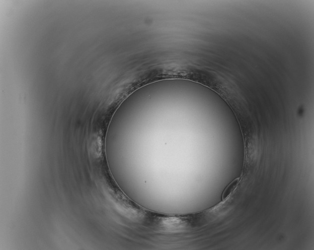 X0000112820183200908281539