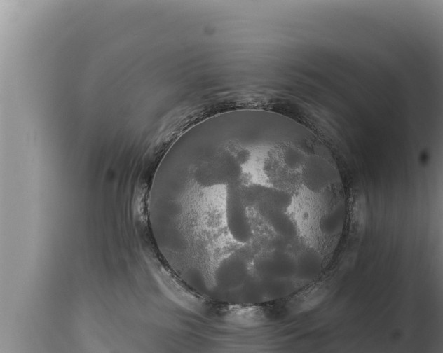 X0000112820185200908281539