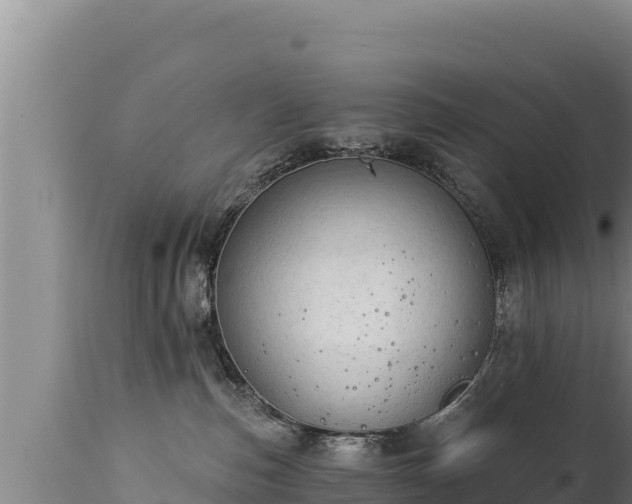 X0000112820187200908281539