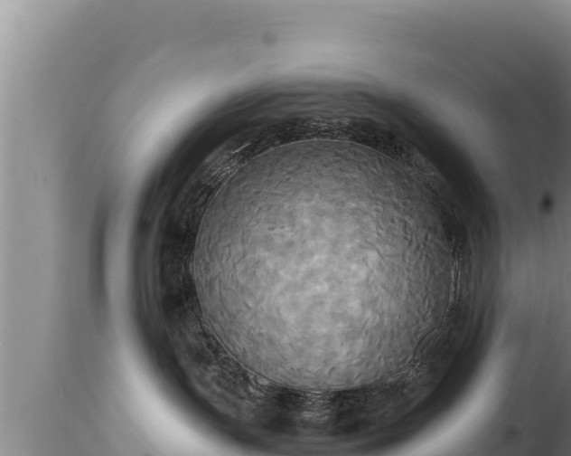 X0000112820191200908281539