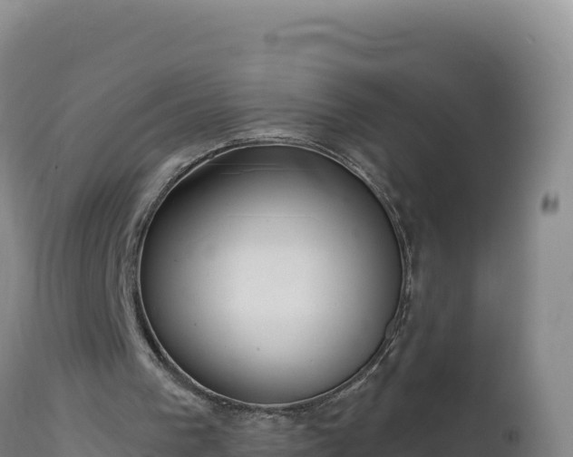 X0000112820193200908281539