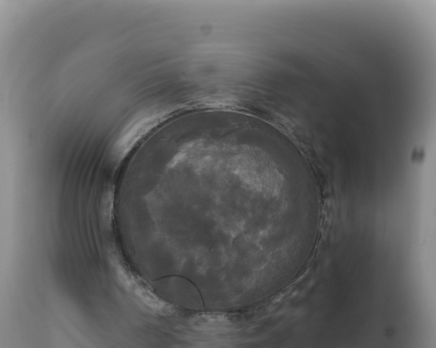 X0000112820194200908281539